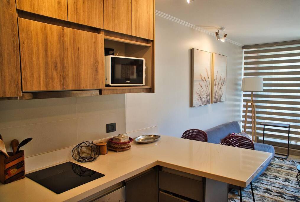 Apartamento Comodo Departamento En Pucón